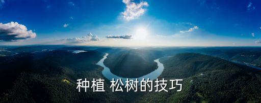 農藥灌根什么時候好,松樹什么時候灌農藥