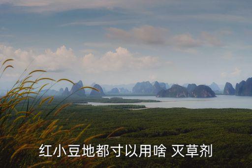 農村用什么農藥滅草,什么農藥能打死所有的草