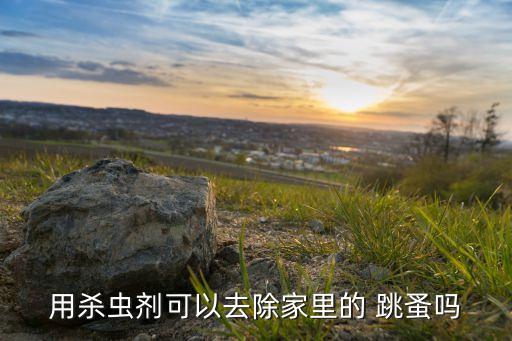 滅跳蚤噴什么農藥,跳蚤用什么農藥可以殺死