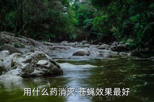 ,枇杷遇到蒼蠅打什么農藥