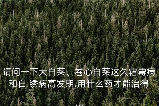 請(qǐng)問(wèn)一下大白菜、卷心白菜這久霜霉病和白 銹病高發(fā)期,用什么藥才能治得...