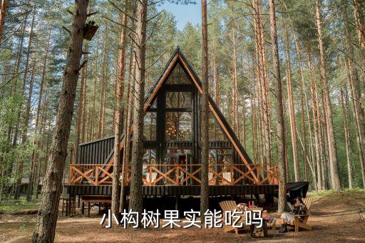 什么農(nóng)藥可以殺構(gòu)樹,殺構(gòu)樹用什么除草劑