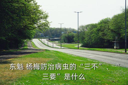  東魁 楊梅防治病蟲的“三不”、“三要”是什么