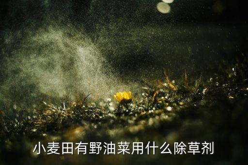 小麥田有野油菜用什么除草劑