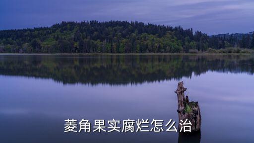 菱角果實腐爛怎么治