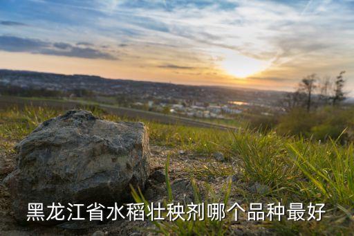 黑龍江省水稻壯秧劑哪個品種最好