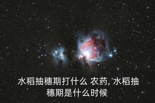 水稻用什么農藥除掉,水稻農藥什么時間打效果最好