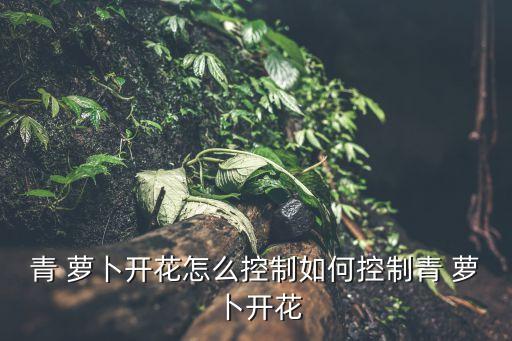 種植綠蘿卜用什么農藥,種植蘿卜需要什么