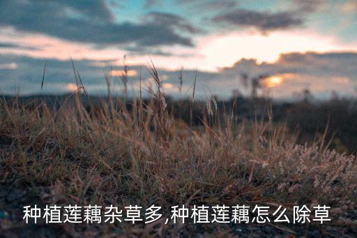 藕用什么農(nóng)藥殺蟲的多了,殺蟲雙可以配什么農(nóng)藥