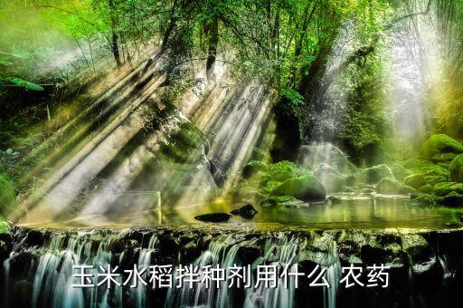 玉米水稻拌種劑用什么 農藥