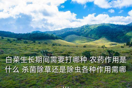 白菜生長期間需要打哪種 農藥作用是什么 殺菌除草還是除蟲各種作用需哪...