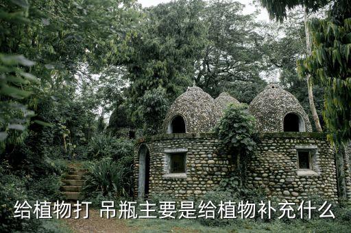 給植物打 吊瓶主要是給植物補(bǔ)充什么