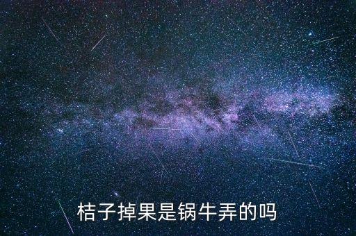 桔子掉果是鍋牛弄的嗎