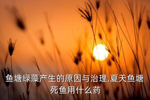 魚塘綠藻產(chǎn)生的原因與治理,夏天魚塘 死魚用什么藥