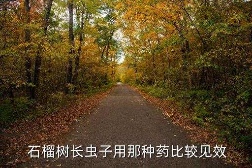 ,石榴套袋前打什么農(nóng)藥