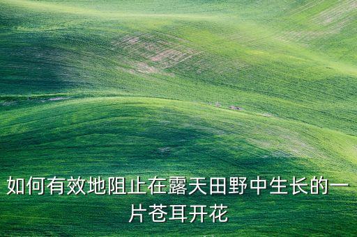 蒼耳用什么農(nóng)藥,蒼耳的種子通過什么傳播