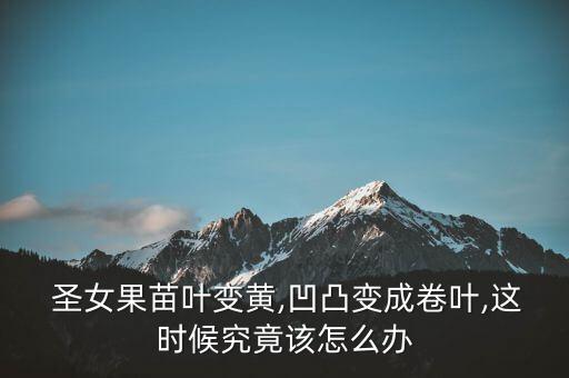 圣女果種植要什么農藥,種植圣女果需要注意什么