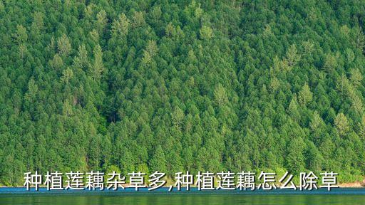 什么農藥能殺藕,菜蟲用什么農藥殺比較好?