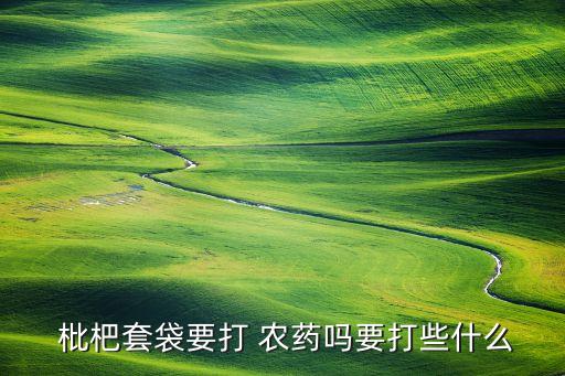 枇杷用什么打農(nóng)藥,枇杷需要打農(nóng)藥嗎