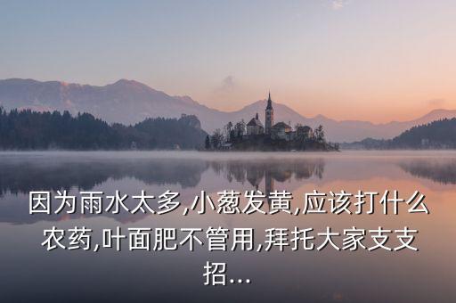 什么農藥可以打干蔥,什么時間打農藥效果最佳