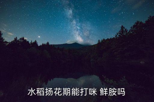水稻揚(yáng)花期能打咪 鮮胺嗎