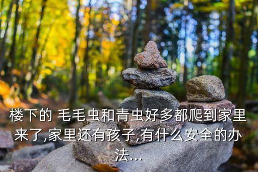 毛毛蟲用什么農藥噴,香菜一般噴什么農藥