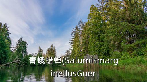 什么農藥能消滅麻皮蝽