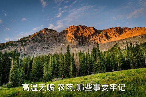 高溫天噴 農(nóng)藥,哪些事要牢記