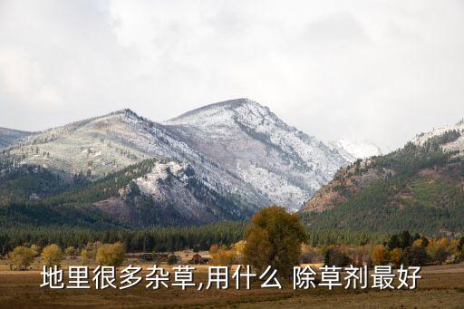 什么農(nóng)藥除草又除根又除草