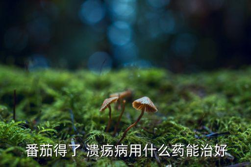 番茄打什么農藥,番茄潰瘍病用什么農藥