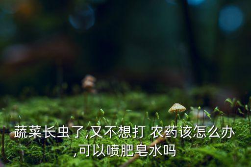 菜不用農藥的用什么殺蟲,不用農藥20種殺蟲方法