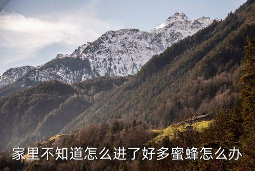 家里不知道怎么進了好多蜜蜂怎么辦