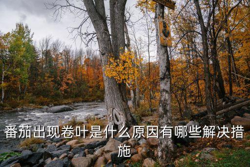 西紅柿卷葉子打什么農藥,種的西紅柿葉子卷了什么原因