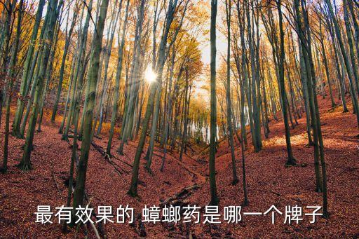 最有效果的 蟑螂藥是哪一個牌子