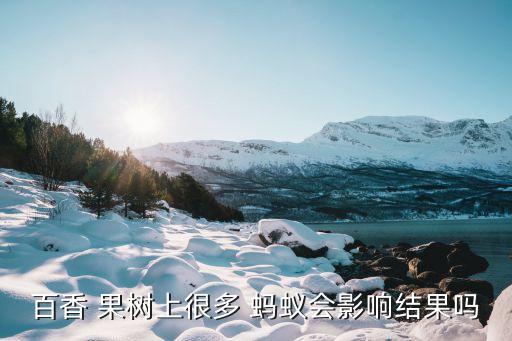 果樹螞蟻用什么農(nóng)藥,果樹打什么農(nóng)藥,啥時(shí)候打