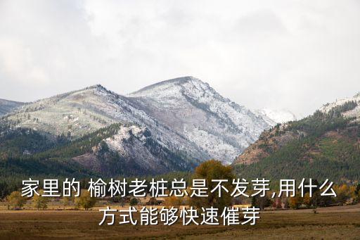 榆樹打什么農藥,打農藥一般什么時間打比較好