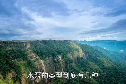 汽油農藥泵有什么型號,農藥與汽油會發生什么反應