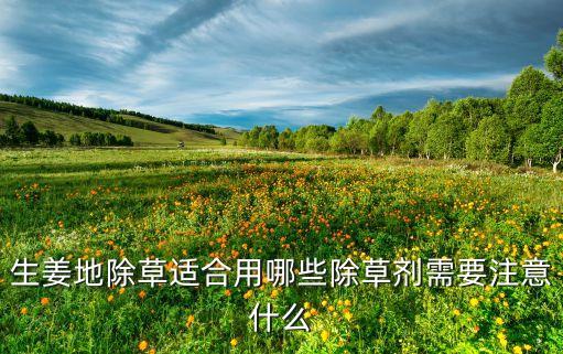 生姜地除草適合用哪些除草劑需要注意什么