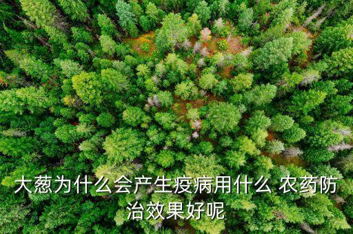 大蔥為什么會產生疫病用什么 農藥防治效果好呢
