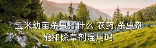 玉米打什么農(nóng)藥死草價格,玉米種下后需要噴什么農(nóng)藥