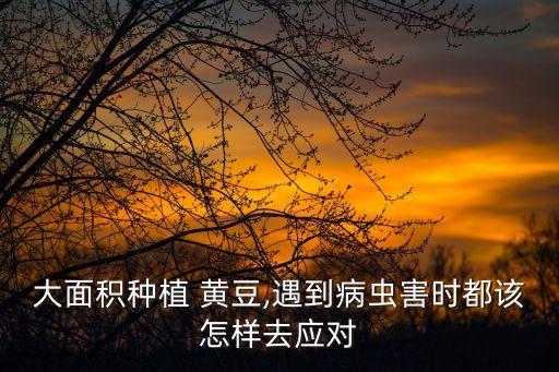 黃豆用什么農藥打最好,一般什么時間打農藥最好