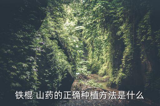 鐵棍 山藥的正確種植方法是什么
