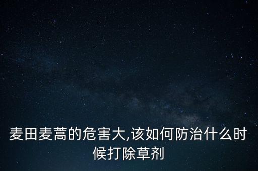 麥田麥蒿的危害大,該如何防治什么時(shí)候打除草劑