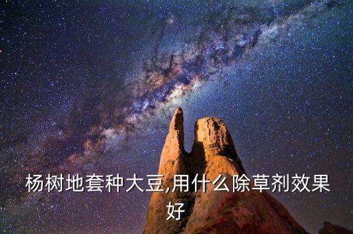 楊樹雜草用什么農藥,什么農藥讓雜草一年不長