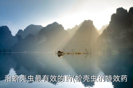 桔子介殼蟲用什么農(nóng)藥,現(xiàn)在桔子打什么農(nóng)藥