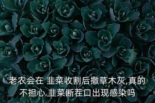 韭菜螨蟲最怕什么農藥,韭菜根螨蟲用什么農藥