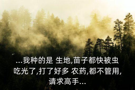 ...我種的是 生地,苗子都快被蟲吃光了,打了好多 農藥,都不管用,請求高手...