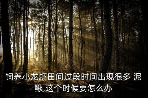 地籠抓泥鰍用什么農藥