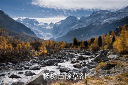 什么農(nóng)藥治楊樹,能把楊樹弄死的農(nóng)藥