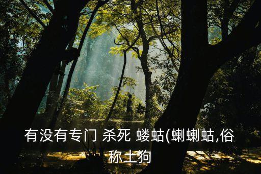 什么農藥殺死螻蛄最快,螻蛄用什么農藥